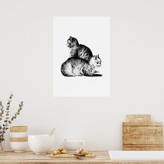 Jean Bernard's two cats combination Poster (Küche)