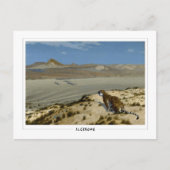 Jean-Léon Gérôme #10 - Fine Art Postcard Postkarte (Vorderseite)