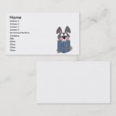 Jean Pocket Dust Bunny Visitenkarte (Vorne/Hinten)