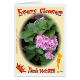 Jede Blume benötigt Feuchtigkeit!