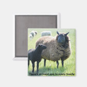 Jede Familie hat einen schwarzen Schafmagnet Magnet (Vorderseite/Rückseite)