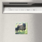 Jede Familie hat einen schwarzen Schafmagnet Magnet (In Situ (Geschirrspüler))