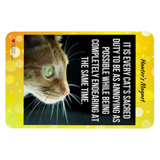 Jede Katze Magnet (Horizontal)