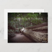 Jedediah Smith Redwoods Staat Park Postkarte (Vorne/Hinten)