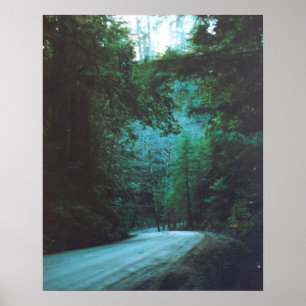 Jedediah Smith-Rotholz-Staats-Park, CA Poster