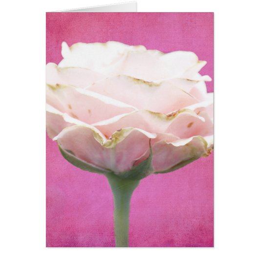 Jedem Anlass-Karte für Rosa Textil (Vorne)
