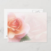 Jeden Anlaß-Postkarte für empfindliche Rose Postkarte (Vorne/Hinten)