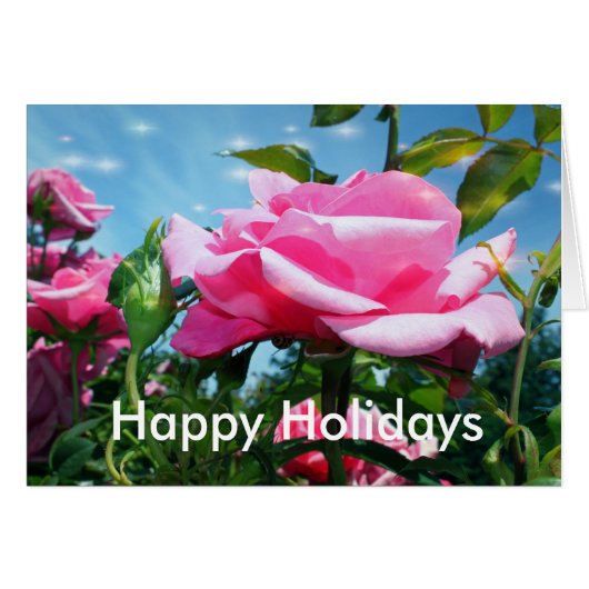 Jeden Anlaß rosa Rosa, fügen Sie Ihr Foto, Text (Vorderseite (Horizontal))