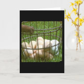 Jeden Anlaß von Eiern Karte (Gelbe Blume)