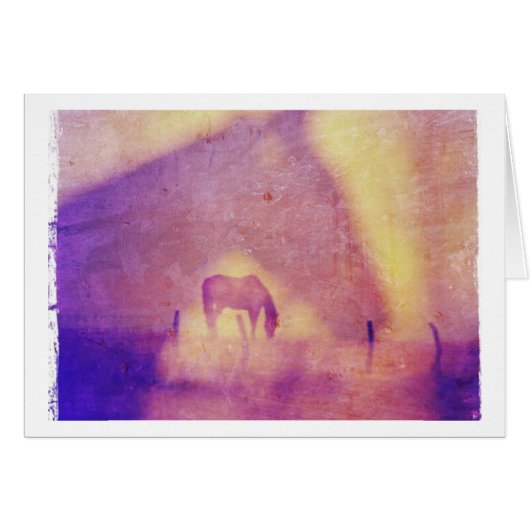 Jeden Anlaß von Pferdträumen (Vorderseite (Horizontal))