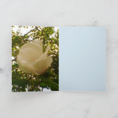 Jeden Anlaß White Rose Karte (Innenseite)