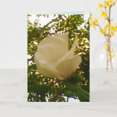 Jeden Anlaß White Rose Karte (Gelbe Blume)