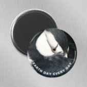 Jeden Tag Horned Puffin Foto Magnet