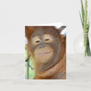 Jeder Anlass - Erstellen Sie Ihre eigene Grußkarte Karte