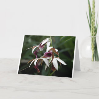 Jeder Anlass Grußkarte mit schöner Blume Karte
