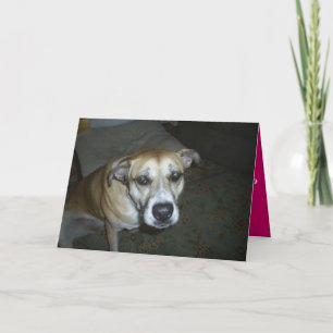 Jeder Anlass Grußkarte vom Hund zum Master Feiertagskarte
