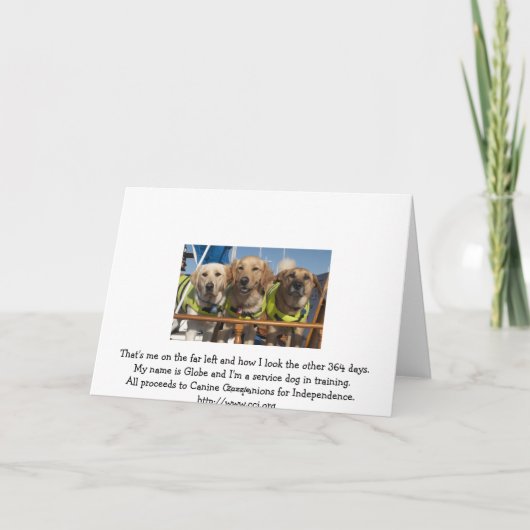 Jeder Anlass Karte (Rückseite)