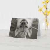 Jeder Anlass Karte (Gelbe Blume)