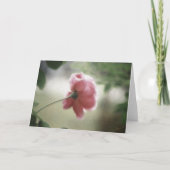 Jeder Anlass Notecard oder Gruß Karte (Vorderseite)