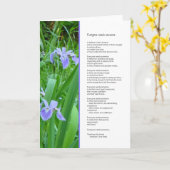 Jeder braucht jemanden... Freundschaft. Karte (Gelbe Blume)