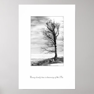 Jeder einsame Baum träumt vom Meer Poster