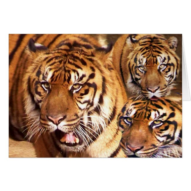 Jeder Fall _ Karte (Vorderseite (Horizontal))