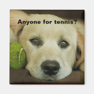 Jeder für Tennis, goldener Retriever. Magnet