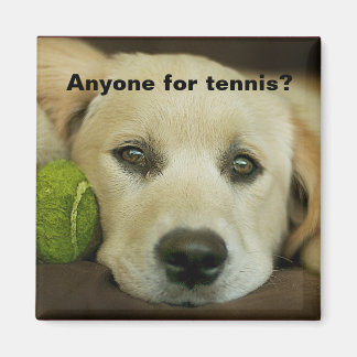 Jeder für Tennis, goldener Retriever. Magnet