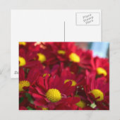 Jeder hat eine Mama Postkarte (Vorne/Hinten)