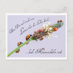 Jeder kann ein bisschen Extra-Glück gebrauchen! Postkarte