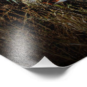 "Jeder sagt.. TOURISTENTRAP!" Fotodruck (Ecke)