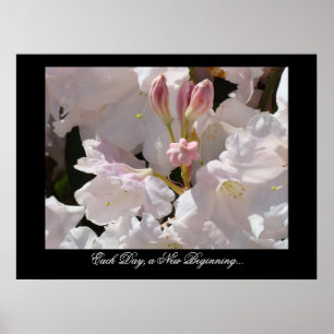 Jeder Tag ein neuer Anfang Rhododendren Heilung Poster