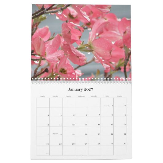 jeder Tag ist eine neue Blume Kalender (Jan 2027)