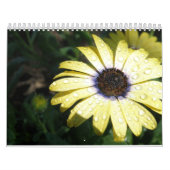 jeder Tag ist eine neue Blume Kalender (Titelbild)