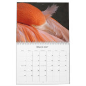 Jeder Tag ist Flamingo Freitag - Kalender (Mär 2027)