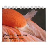 Jeder Tag ist Flamingo Freitag - Kalender (Titelbild)