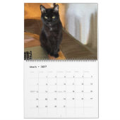 Jeder Tag ist kundenspezifischer Katzen-Kalender Kalender (Mär 2027)