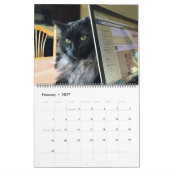 Jeder Tag ist kundenspezifischer Katzen-Kalender Kalender (Feb 2027)