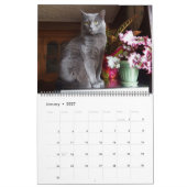 Jeder Tag ist kundenspezifischer Katzen-Kalender Kalender (Jan 2027)