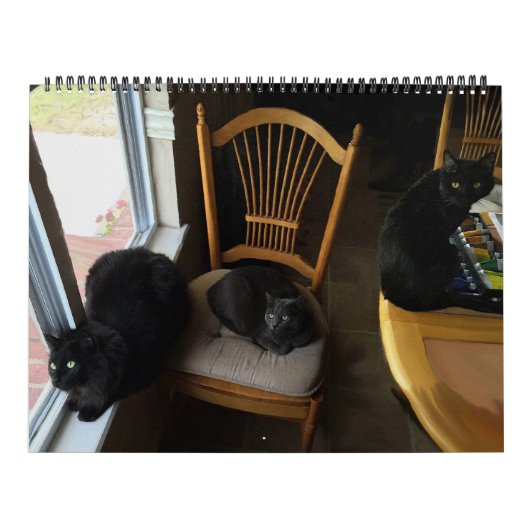 Jeder Tag ist kundenspezifischer Katzen-Kalender Kalender (Titelbild)