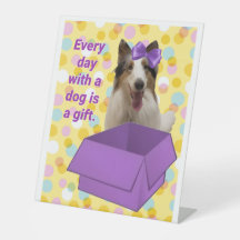 Jeder Tag mit einem Hund ist ein Geschenk