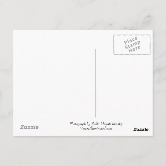 Jeder Unter- und Feigenbaum Postkarte (Rückseite)