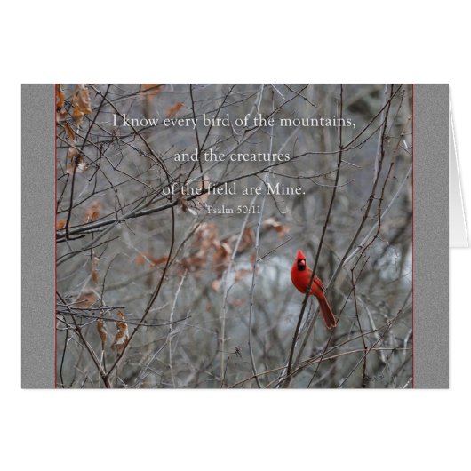 Jeder Vogel des Berges Parakaleo Notizkarte (Vorderseite (Horizontal))