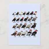 Jeder Wesen Postkarte (Vorderseite)