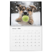Jedes Jahr Tennis und Welpen Kalender (Jan 2026)