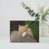 Jedes Kind ist ein Kind Postkarte (Stehend Vorderseite)