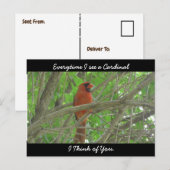 Jedes Mal, wenn ich einen Kardinal sehe, denke ich Postkarte (Vorne/Hinten)