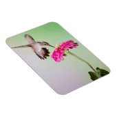 Jeff Davis Landkreis, Texas Magnet (Rechte Seite)