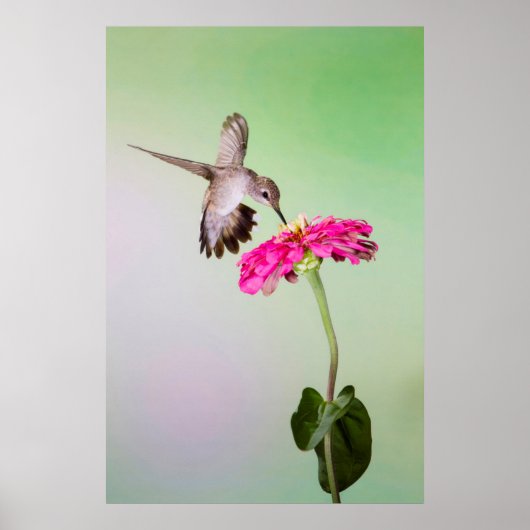 Jeff Davis Landkreis, Texas Poster (Vorne)