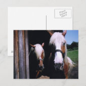 Jeff et Kate Postkarte (Vorne/Hinten)